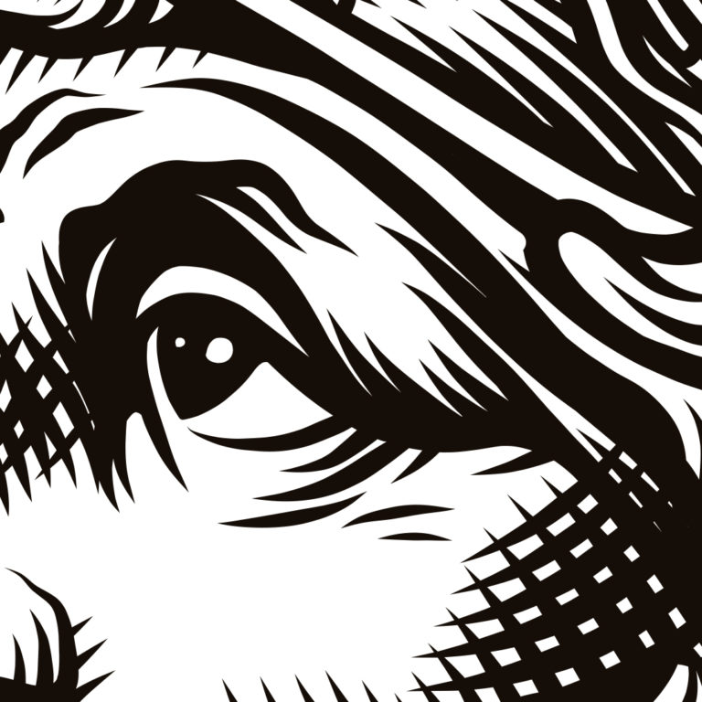 The Face Hoodie - uitverkocht