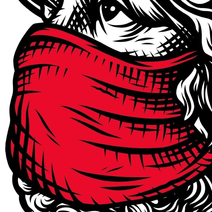 The Face - Masked - uitverkocht