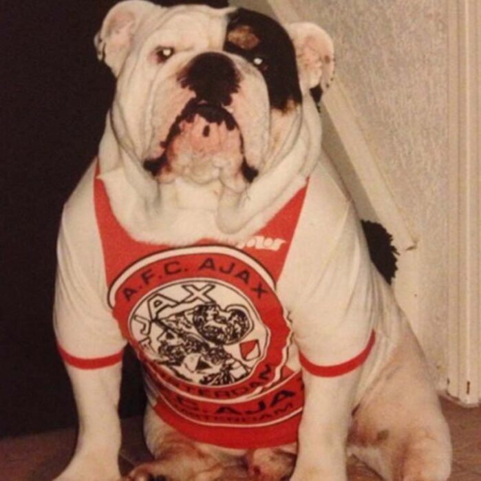 bulldog voetbal