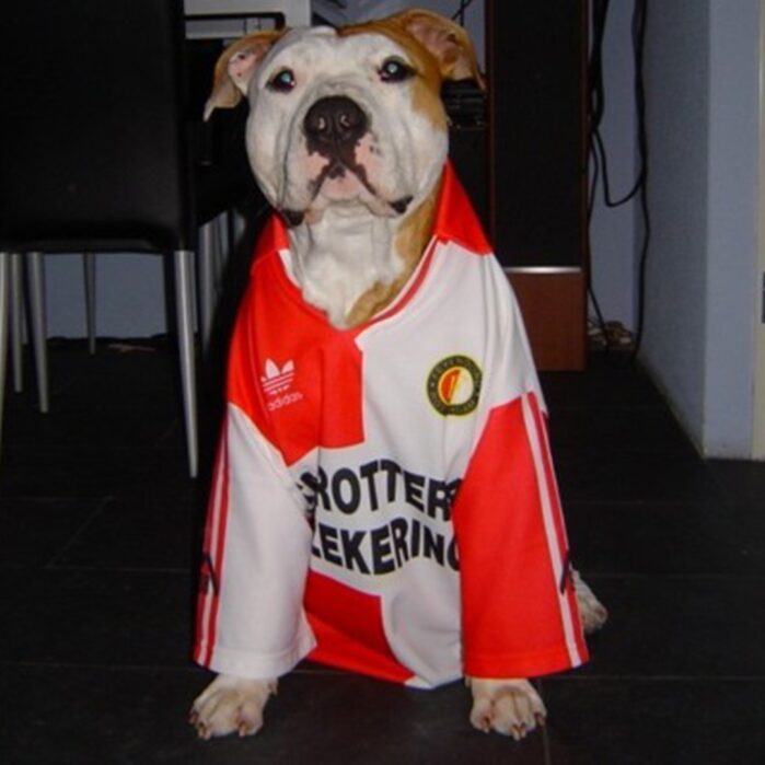 bulldog feyenoord