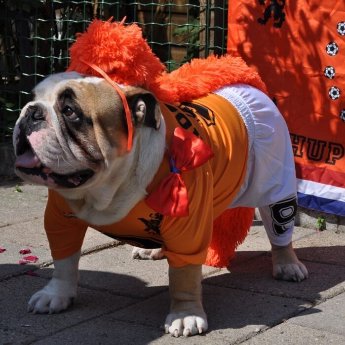 hup holland hup